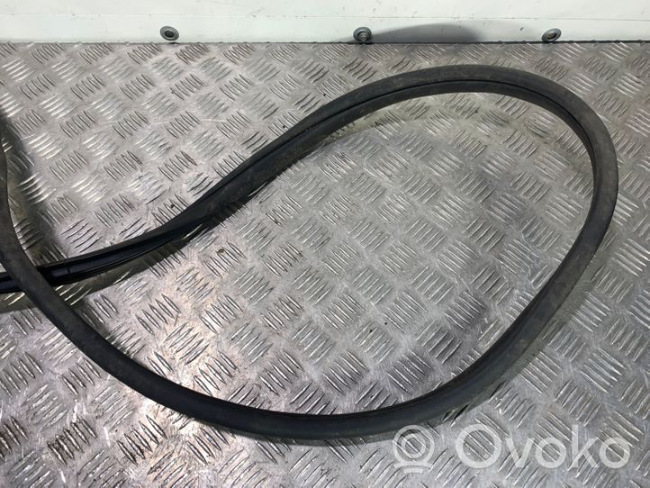 Hyundai Ioniq Rubber seal rear door 