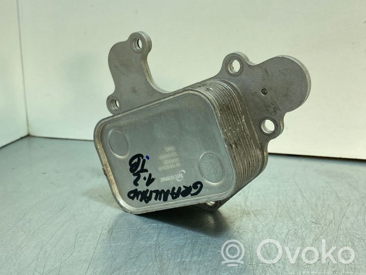 Opel Grandland X Support de filtre à huile 9815697880