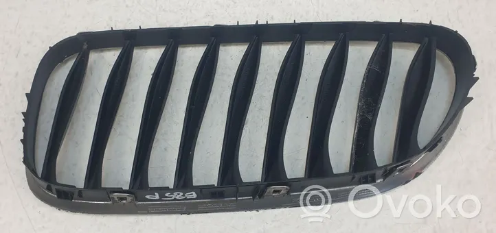 BMW Z4 E85 E86 Atrapa chłodnicy / Grill 