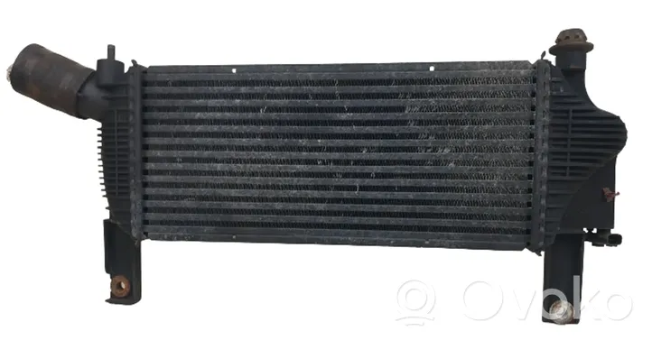 Nissan Pathfinder R51 Radiatore intercooler 14461EB360