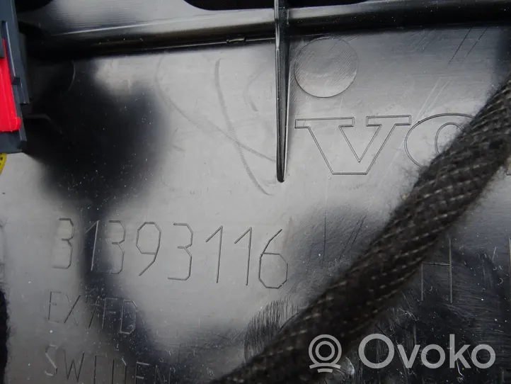 Volvo XC90 Verkleidung Tür hinten 31393116