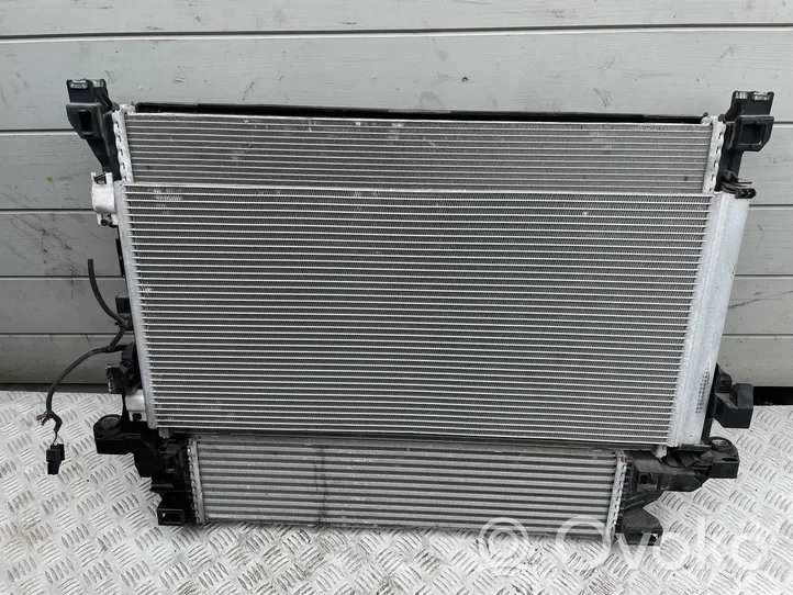 Renault Trafic III (X82) Coolant radiator 