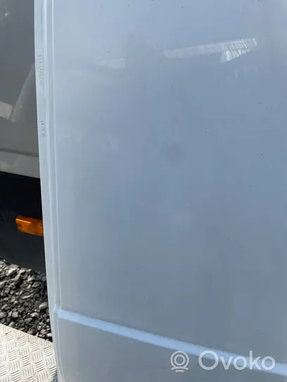 Renault Trafic III (X82) Rear door 