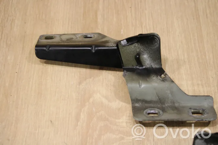 Renault Megane II Engine bonnet/hood hinges 