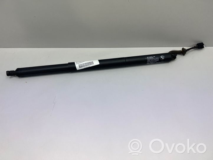 BMW X1 F48 F49 Hidraulikos komplektas galinio dangčio 2696591