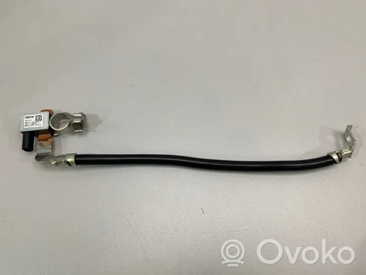 BMW 4 G22 G23 G24 G26 Negative earth cable (battery) 9855909