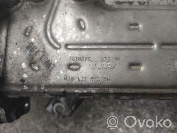 Skoda Octavia Mk2 (1Z) EGR-venttiili/lauhdutin 038131513