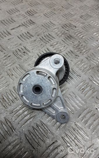 Volkswagen Tiguan Napinacz paska alternatora 04L903315A