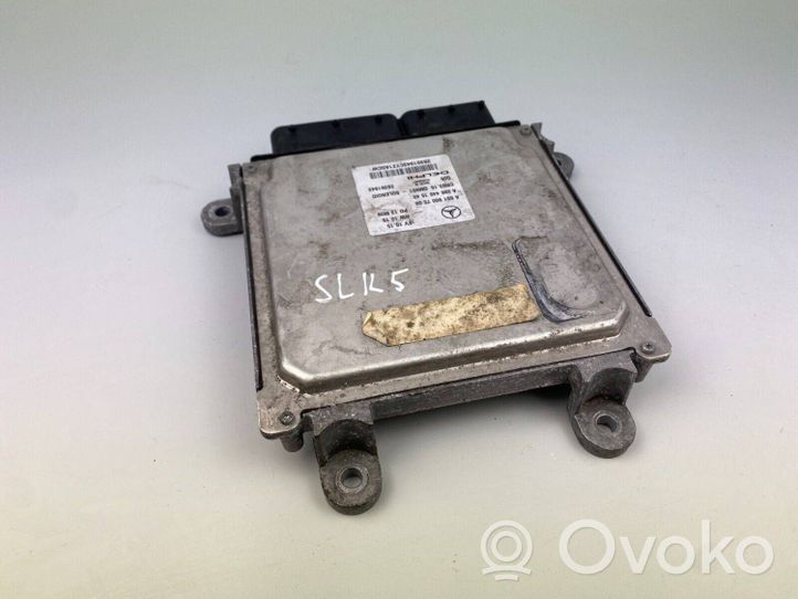 Mercedes-Benz SLK R172 Sterownik / Moduł ECU A6519007500