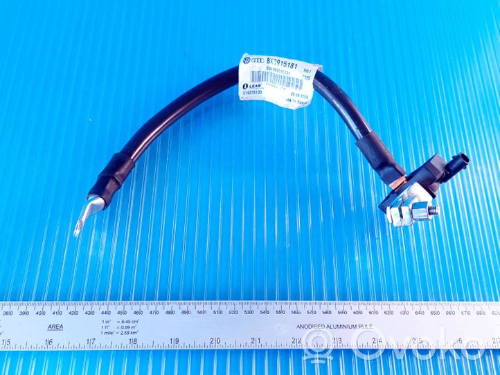 Audi A4 S4 B8 8K Negative earth cable (battery) 8X0915181