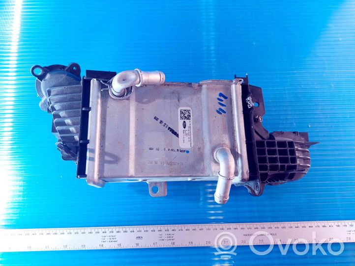 Ford Focus Refroidisseur intermédiaire JN1Q6C896AC