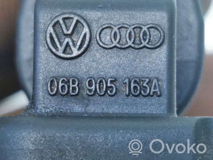 Audi A3 S3 A3 Sportback 8P Czujnik położenia wału korbowego 06B905163A