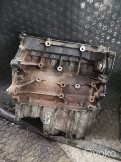 Volkswagen Golf V Bloc moteur BLG