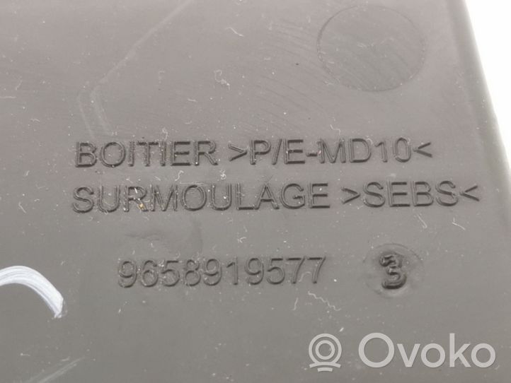 Citroen Berlingo Rivestimento del vano portaoggetti del bagagliaio anteriore 9658919577