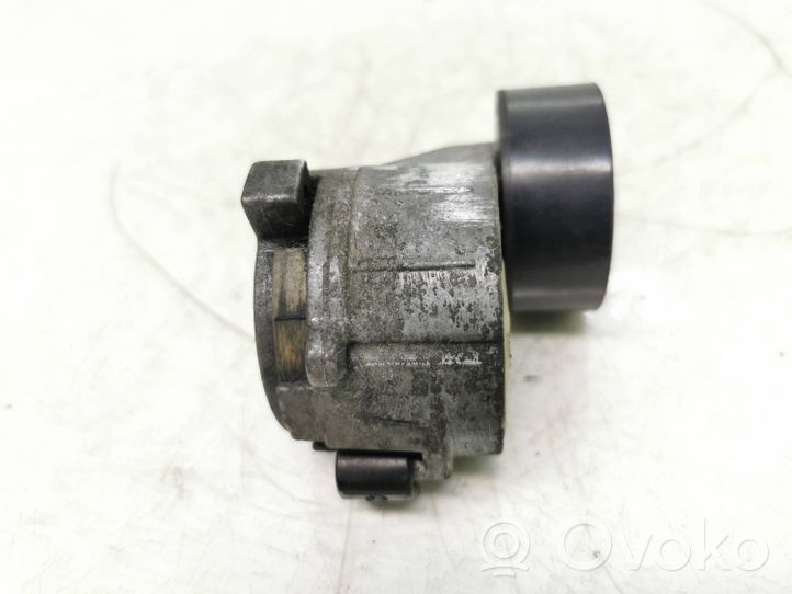 Citroen Berlingo Napinacz paska wielorowkowego / Alternatora Tf077g