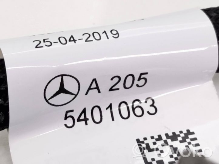 Mercedes-Benz EQC Etuoven johtosarja A2055401063