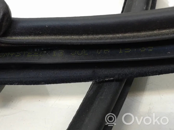 Volvo S60 Front door rubber seal 