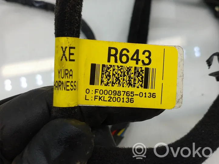 KIA Rio Cablaggio porta anteriore 916101W430A