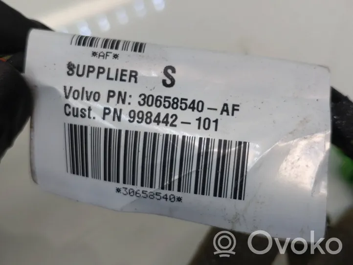 Volvo C30 Front door wiring loom 30658540