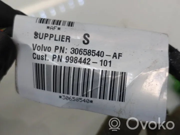 Volvo C30 Faisceau de câblage de porte avant 30658540