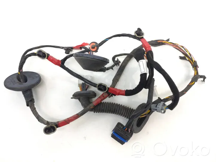 Hyundai Santa Fe Rear door wiring loom 916502b010