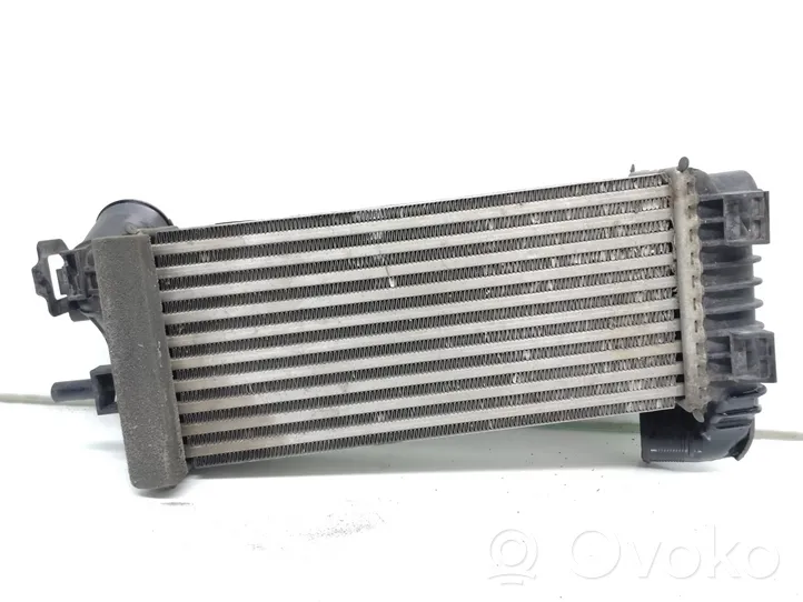 Ford Transit -  Tourneo Connect Radiatore intercooler BV619L440CK