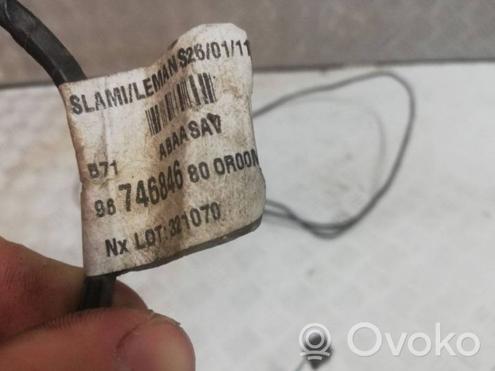 Citroen C4 II Wiązka przewodów czujnika parkowania PDC 9674684680