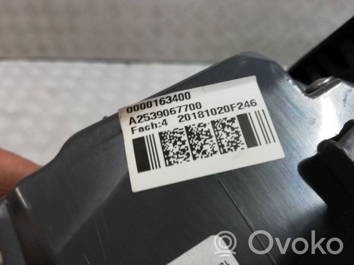 Mercedes-Benz GLC X253 C253 Luci posteriori del portellone del bagagliaio A2539067700