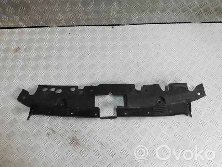 Chevrolet Aveo Viršutinė dalis radiatorių panelės (televizoriaus) 95026204