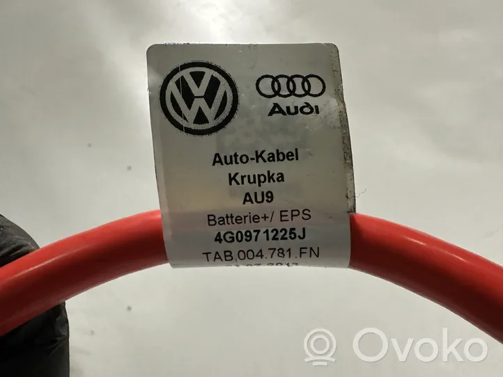 Audi A6 C7 Pliusinis laidas (akumuliatoriaus) 4G0971225J