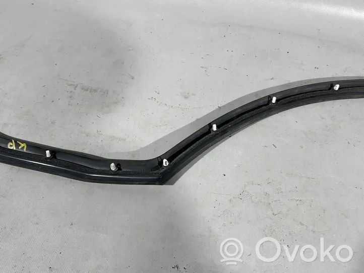 Volkswagen Touareg II Rubber seal rear door 