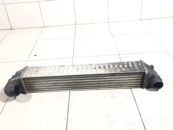 Volkswagen Sharan Radiatore intercooler 7M3145805