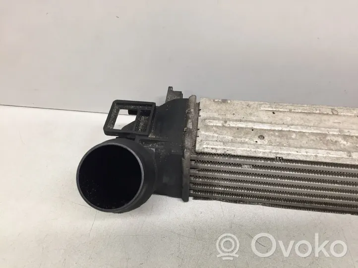 Renault Scenic III -  Grand scenic III Radiatore intercooler 144960006R