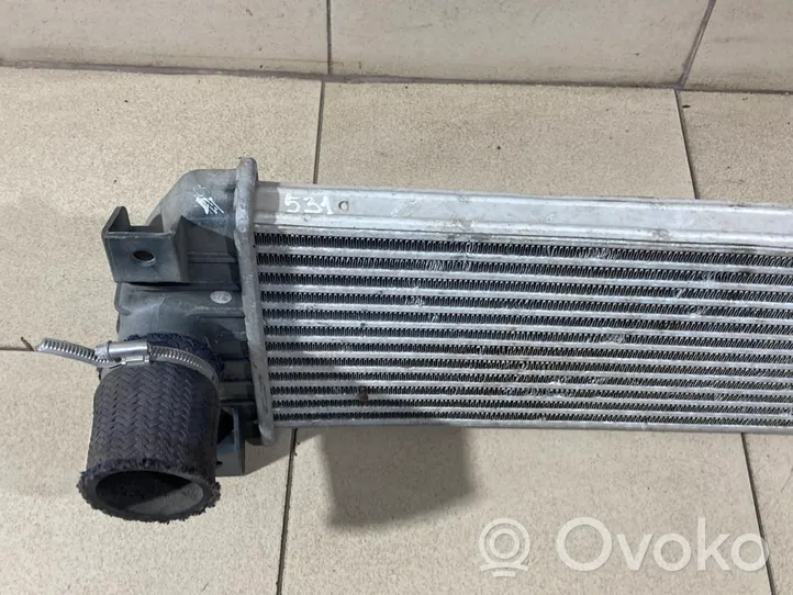 SsangYong Kyron Chłodnica powietrza doładowującego / Intercooler 621970