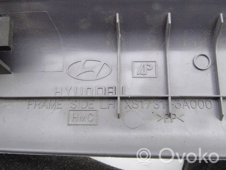 Hyundai Trajet Pagrindinis apdailos skydas X817313A000