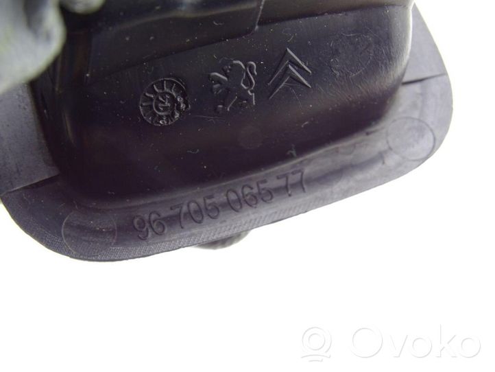 Citroen DS5 Copertura del rivestimento del tetto 9670506577