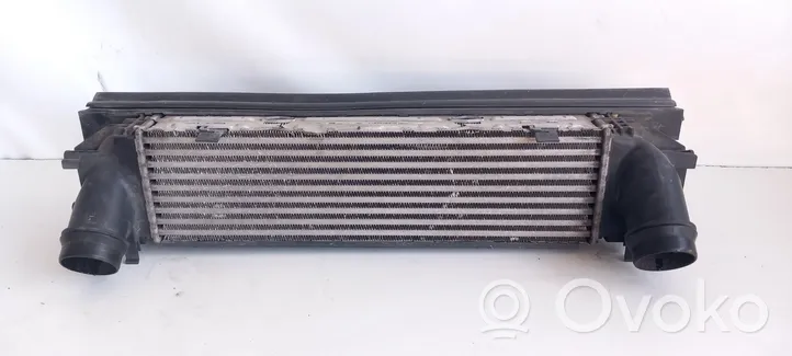 BMW M3 F80 Starpdzesētāja radiators 