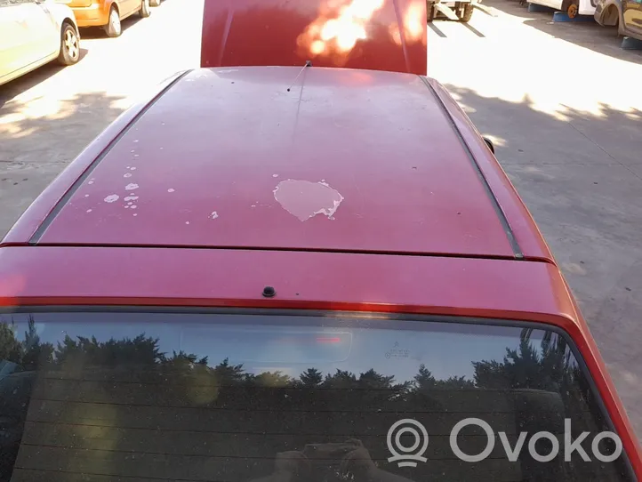 Citroen Saxo Roof 