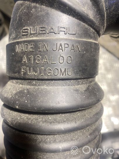 Subaru Outback (BS) Tuyau d'admission d'air turbo A12AL04