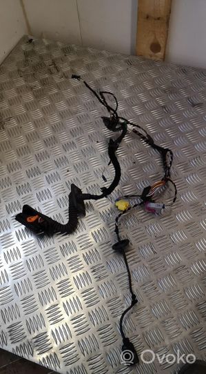 Volkswagen Tiguan Front door wiring loom 