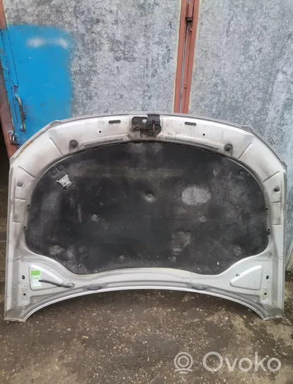 Volkswagen PASSAT B6 Engine bonnet/hood 