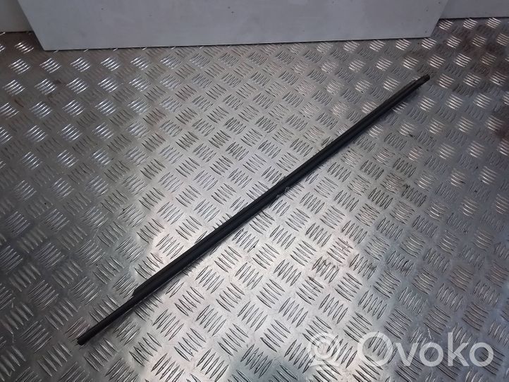 BMW 1 F20 F21 Rivestimento modanatura del vetro della portiera anteriore 