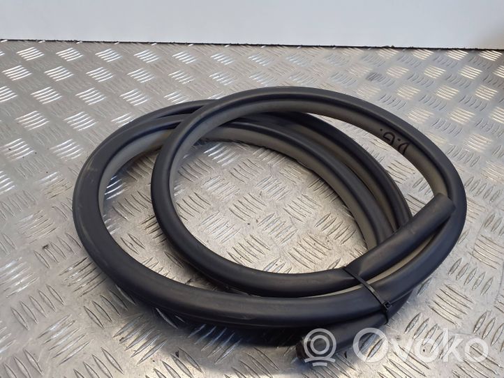 Toyota Yaris Rear door rubber seal (on body) 