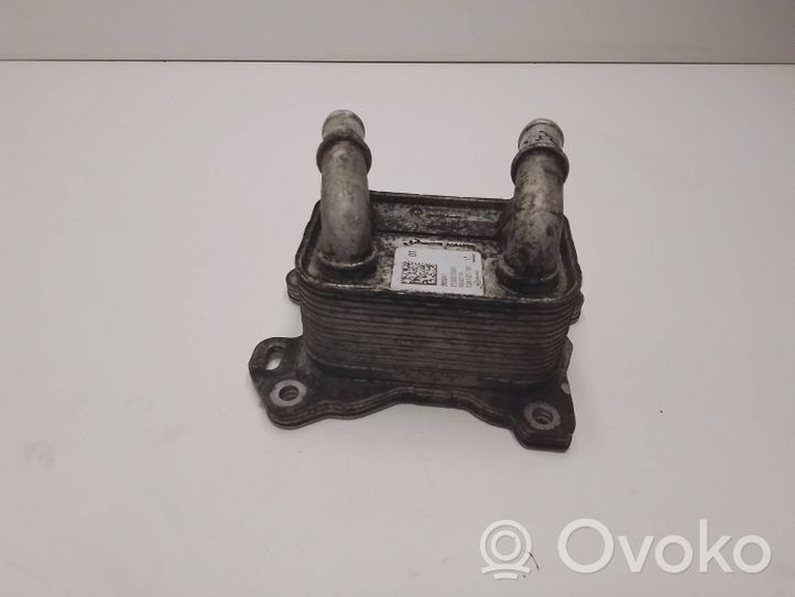 Nissan Qashqai Radiatore dell’olio del motore 213052032R