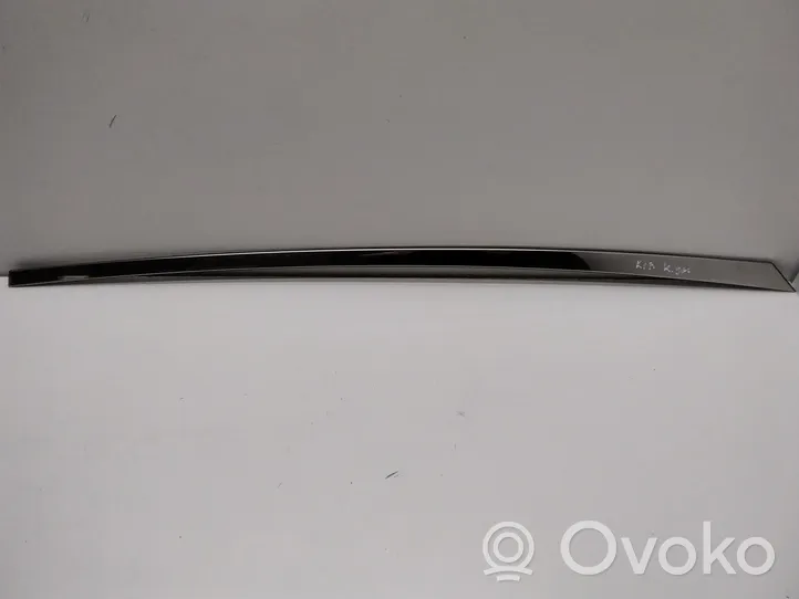 KIA Optima Rear door glass trim molding 