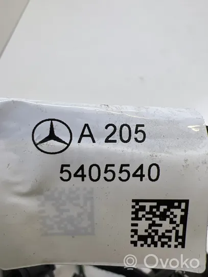 Mercedes-Benz C W205 Wiązka przewodów drzwi przednich A2055405540