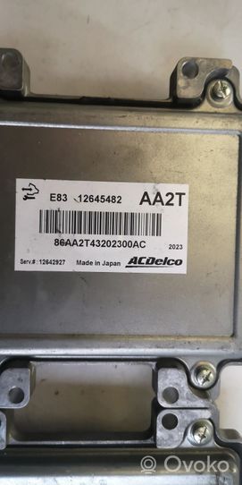 Chevrolet Aveo Komputer / Sterownik ECU i komplet kluczy 12645482