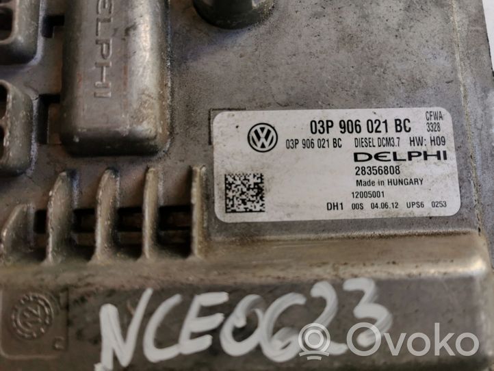 Nissan Cube Z10 Unité de commande, module ECU de moteur 03P906021BC