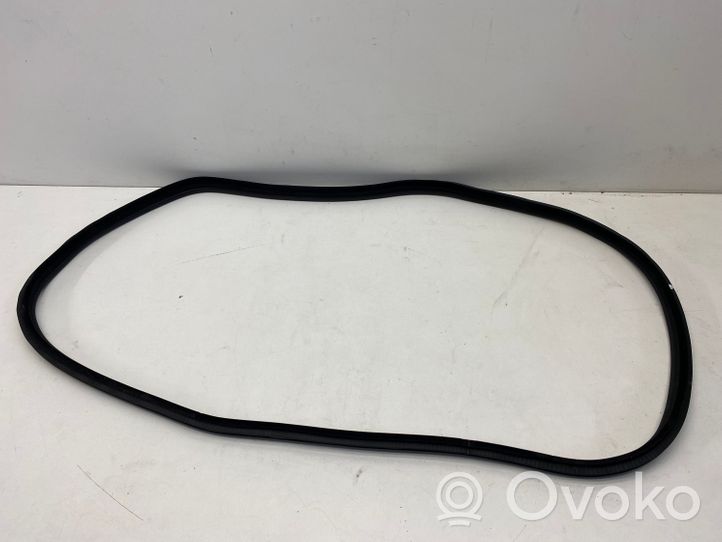 BMW 3 GT F34 Rear door rubber seal (on body) 