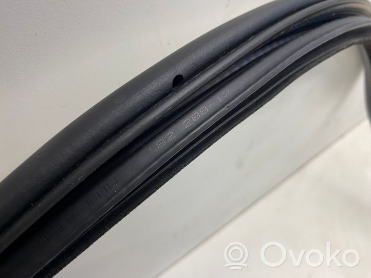 BMW 5 F10 F11 Rubber seal rear door 7182288